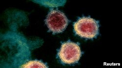 FILE PHOTO: This undated transmission electron microscope image shows SARS-CoV-2, also known as novel coronavirus, the virus that causes COVID-19, isolated from a patient in the U.S. NIAID-RML/Handout via REUTERS. 