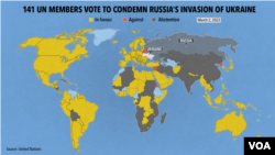 The U.N. resolution to condemn Russia's invasion of Ukraine was adopted with 141 votes in favor (77.90% of votes) and 35 abstentions. Only five countries (2.76% of votes) voted against the resolution. (United Nations)