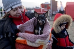 A woman reacts while holding a dog as refugees from Ukraine cross the Ukrainian-Slovakian border after Russia's invasion of Ukraine, in Vysne Nemecke, Slovakia, on March 3, 2022. (Lukasz Glowala/Reuters)