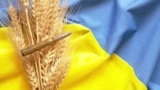 Putin Grossly Distorts Who’s Getting That Ukrainian Grain