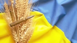 Putin Grossly Distorts Who’s Getting That Ukrainian Grain