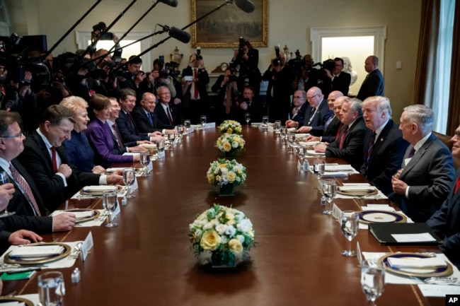 U.S. President Trump speaks during a meeting with Baltic leaders at the White House, Washington, D.C., April 3, 2018.