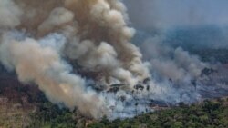 BRAZIL -- Smoke billows from forest fires in the municipality of Candeias do Jamari, close to Porto Velho in Rondonia State, in the Amazon basin, August 24, 2019.