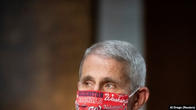 Anthony Fauci, director of the National Institute of Allergy and Infectious Diseases, wears a Washington Nationals face mask as he arrives during a Senate committee hearing in Washington, D.C., U.S. June 30, 2020.