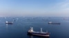 Commercial vessels including ships that are part of Black Sea grain deal wait to pass the Bosphorus strait off the shores of Yenikapi in Istanbul. (Reuters/Umit Bektas)