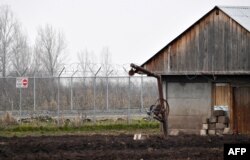 Sheep shelter located just 10 meters from a U.S. anti-missile defense base in Romania.