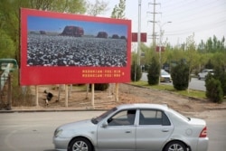 A car drives past a billboard showing machines harvesting cotton outside a Huafu Fashion plant during a government organized trip for foreign journalists in Aksu on April 20, 2021. Mark Schiefelbein/AP