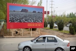 A car drives past a billboard showing machines harvesting cotton outside a Huafu Fashion plant during a government organized trip for foreign journalists in Aksu on April 20, 2021. Mark Schiefelbein/AP