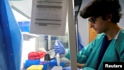 RealTime Laboratories prepares samples for the coronavirus disease (COVID-19) testing with PCR amplification in Carrollton, Texas, U.S. June 24, 2020. REUTERS/Cooper Neill/File Photo