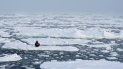Environmental activist and campaigner Mya-Rose Craiag sits on the ice floe in the middle of the Arctic Ocean, hundreds of miles above the Arctic Circle, September 20, 2020.