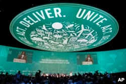 Vice President Kamala Harris speaks at the COP28 U.N. Climate Summit, Saturday, Dec. 2, 2023, in Dubai, United Arab Emirates. (AP Photo/Kamran Jebreili)