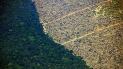 Aerial view of a deforested piece of land in the Amazon rainforest on August 23, 2019.