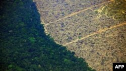 Aerial view of a deforested piece of land in the Amazon rainforest on August 23, 2019.