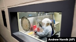 Laboratory scientist Andrea Luquette cultures coronavirus to prepare for testing at U.S. Army Medical Research and Development Command at Fort Detrick on March 19, 2020. (Andrew Harnik/Associated Press)
