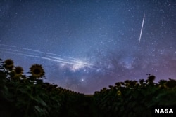 Starlink Satellite Trails over Brazil. Image Credit & Copyright: Egon Filter
