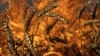  A wheat field burns after Russian shelling a few kilometers from the Ukrainian-Russian border in the Kharkiv region, Ukraine, July 29, 2022. (Evgeniy Maloletka/AP)