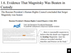 A screen capture from http://russian-untouchables.com report: "Nekrasov-Piraya anti-Magnitsky “Documentary”