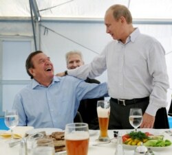 RUSSIA – Vladimir Putin and Gerhard Schroeder, city of Vyborg, Sept. 6, 2011.