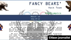 A screenshot of the Russian Cyber Espionage group Fancy Bears' website 