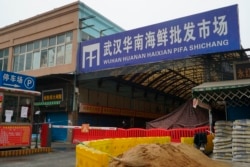 The Wuhan Huanan Wholesale Seafood Market, where a number of people fell ill with COVID-19 at the onset of the pandemic, sits closed in Wuhan on Jan, 21, 2020.