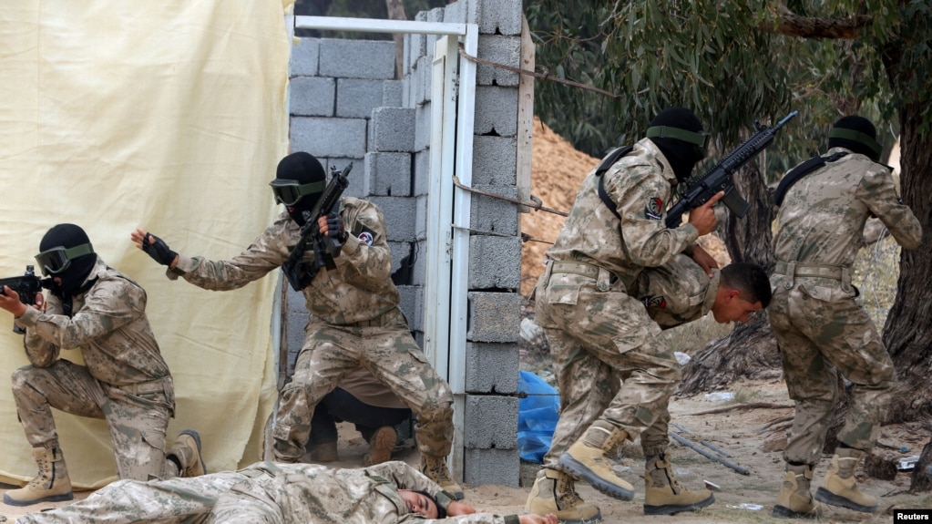 Turkey’s Misleading Claim About Mercenaries in Libya