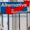 AfD, Alternative for Germany far-right political party 