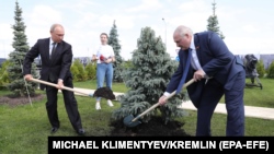 RUSSIA -- Russian President Vladimir Putin (Left) and Belarus President Alexander Lukashenko (Right) plant spruces at the Memorial to the Soviet Soldier, June 30, 2020.