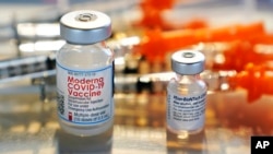 In this Feb. 25, 2021, file photo, vials for the Moderna and Pfizer COVID-19 vaccines are displayed on a tray at a clinic set up by the New Hampshire National Guard in the parking lot of Exeter, N.H., High School. (AP Photo/Charles Krupa, File)